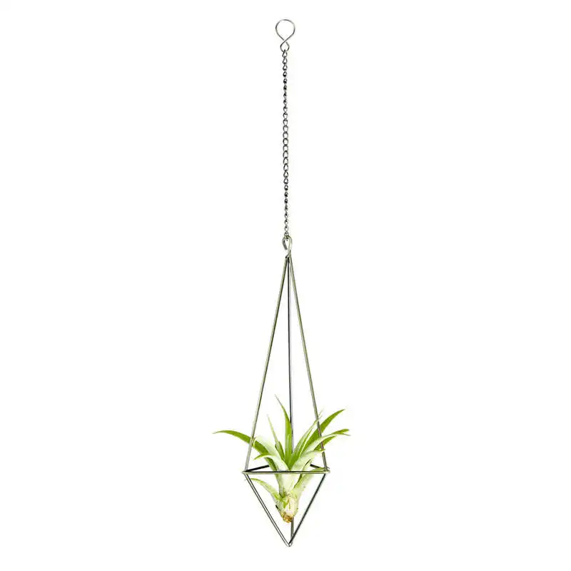 1 упаковка подвесной держатель для растений Tillandsia дисплей геометрический