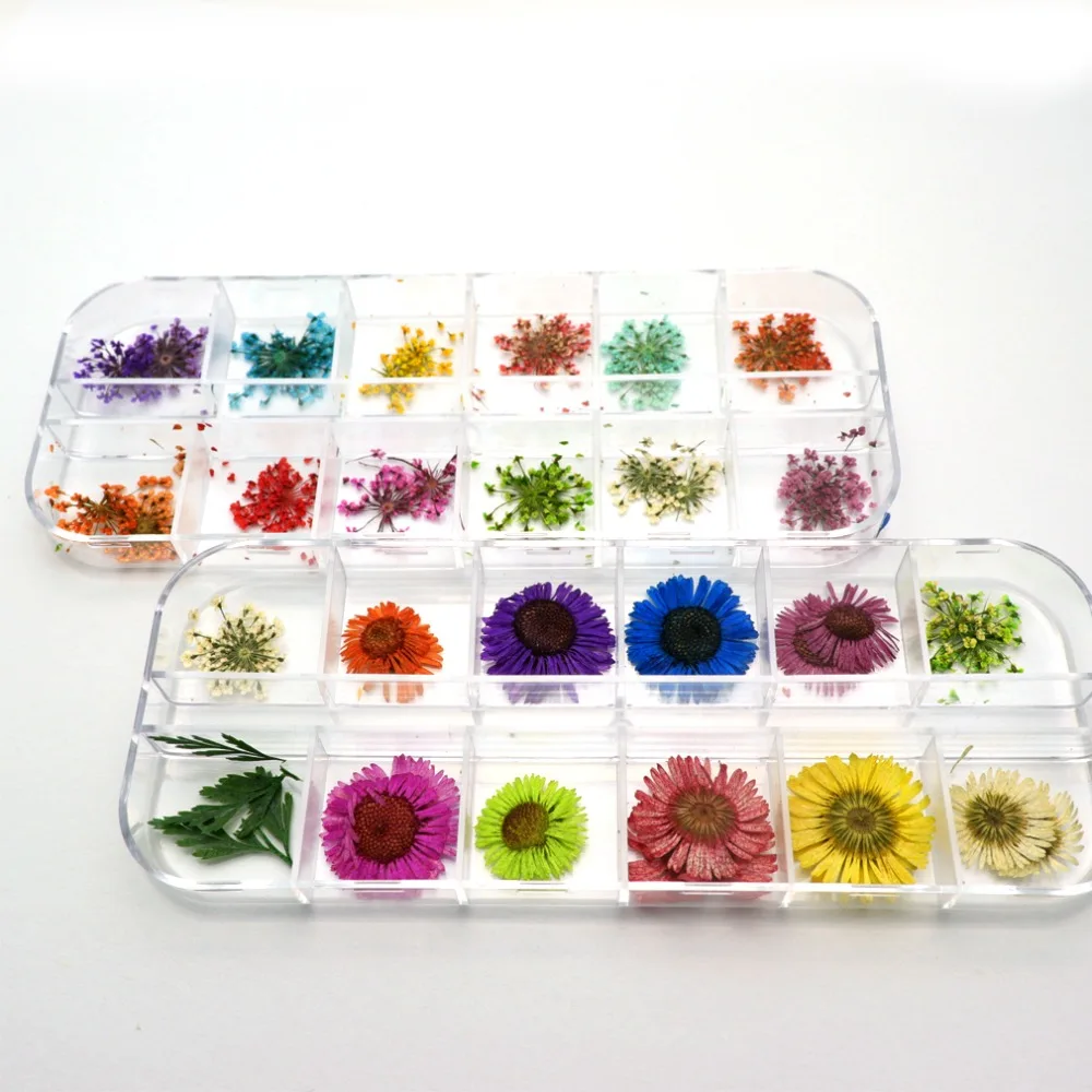 

24pcs 3D Dry Flowers Stickers Real Dried Flower Nail Art Decoration Tips DIY Manicure Tools with Box