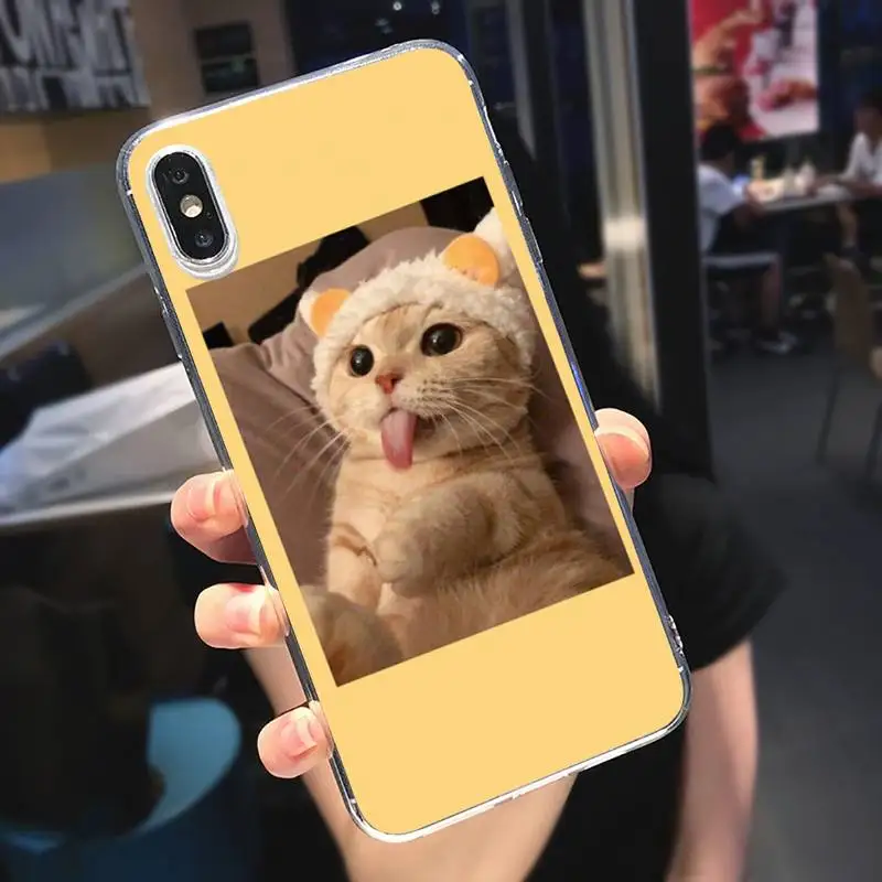

Cat funny cute literature Phone Case Transparent for iPhone 6 7 8 11 12 s mini pro X XS XR MAX Plus