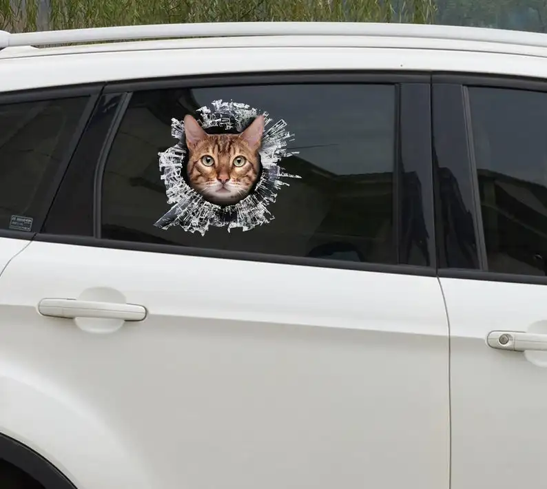 

2021 Bengal cat window sticker, Bengal cat window decal, cat window sticker