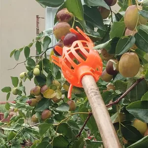 Garden Tools Fruit Picker Gardening Fruits Collection Picking Head Tool Fruit Catcher Device Greenhouse Fruit Picker 10 item image