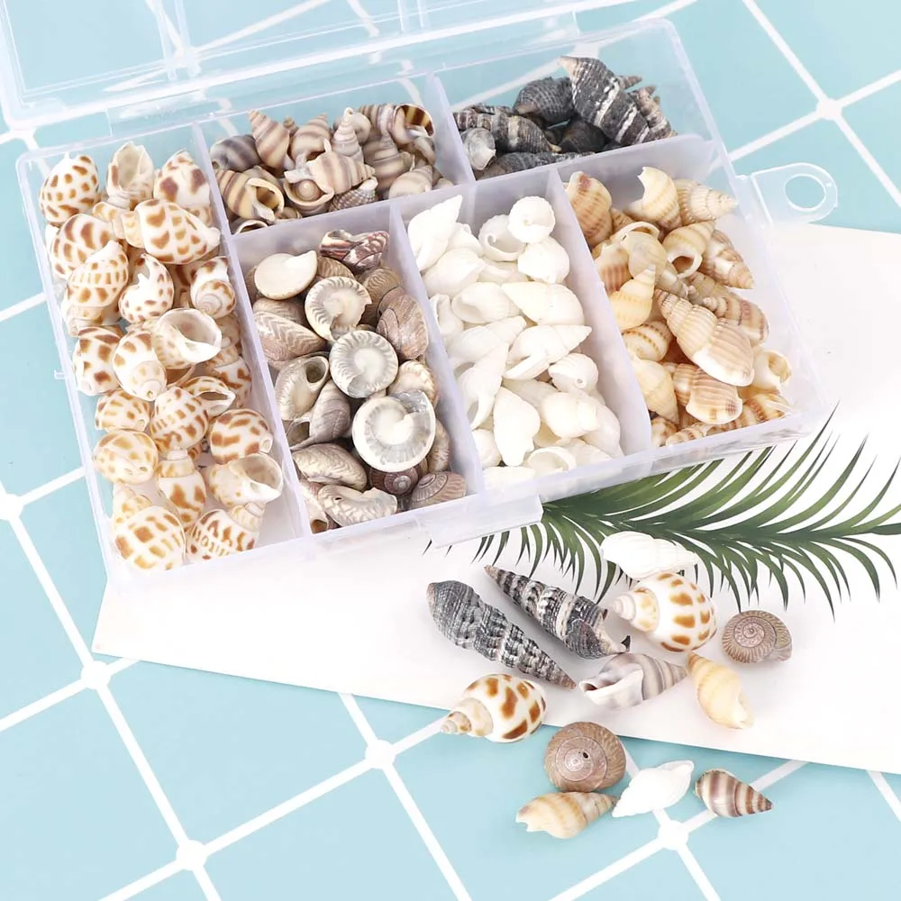 1 коробка, природа, Микс, стиль, пляж, мода, ракушки, морские ракушки для DIY Caft, Декор, ювелирные изделия, ремесло, аксессуары, отверстия, ракушка, шарм, ногтей Sh