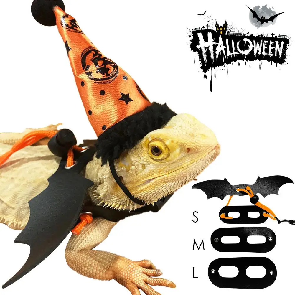 Дракона/игуаны/ящерица малая рептилий жгут Ящерица Забавный костюм для косплея