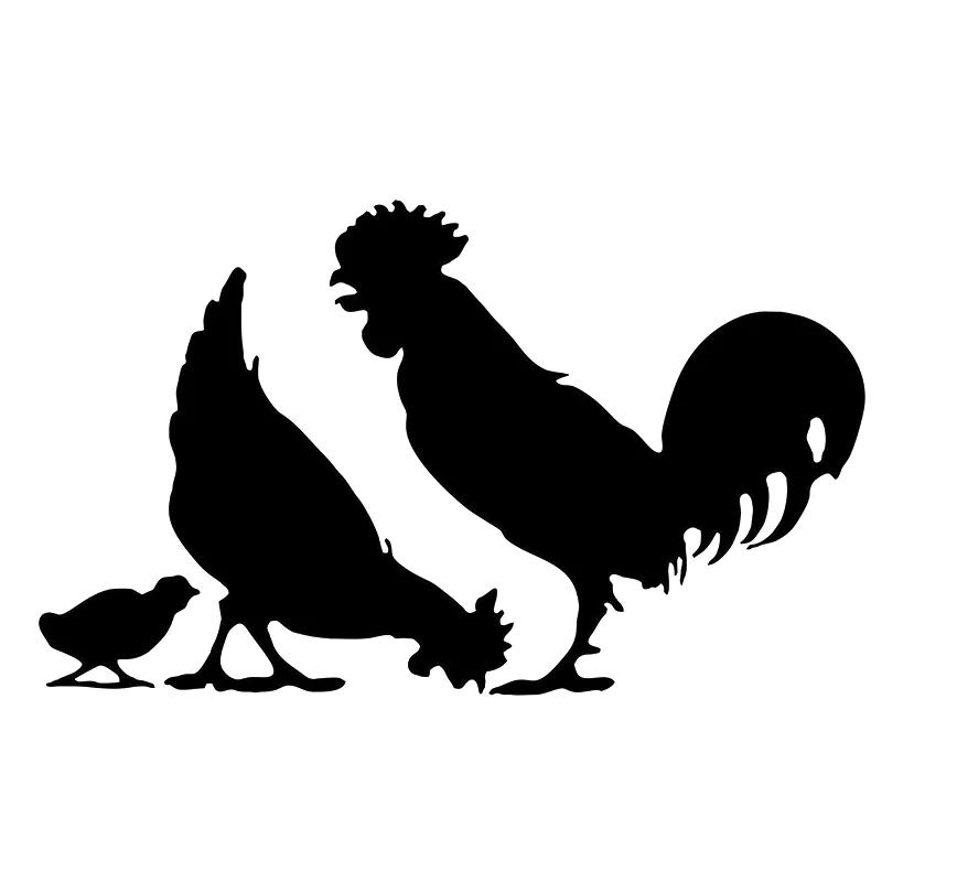 15*9 см сельскохозяйственная курица петух страна курицы Виниловая наклейка