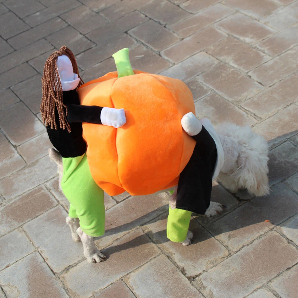 Disfraz divertido de calabaza para perro, ropa de Halloween para mascotas, para eventos especiales, disfraces bonitos para perros-4