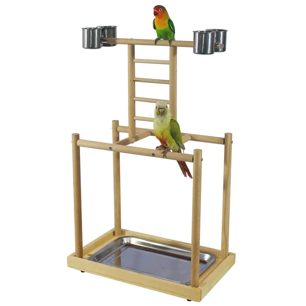 Игровая подставка для попугаев тренажерного зала Ранняя чашка клетка лестницы