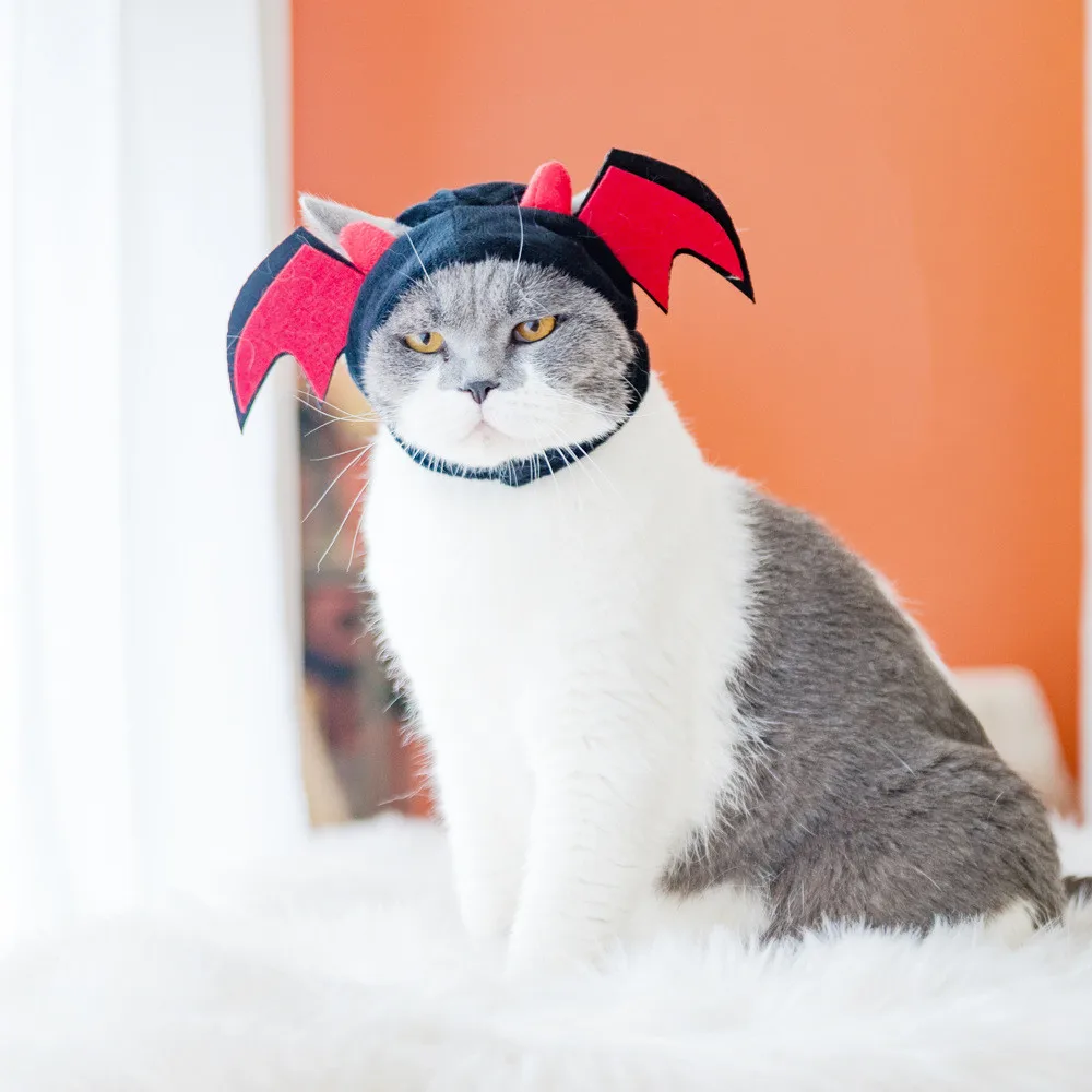 

Головной убор для милых кошек, милая панда, головной убор для домашних питомцев, кошка, собака, маленькое животное