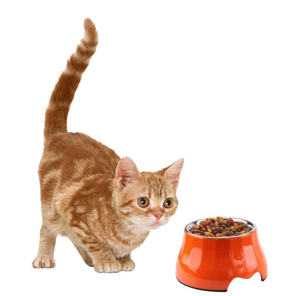 9 см миска для домашних животных из нержавеющей стали конфетного цвета