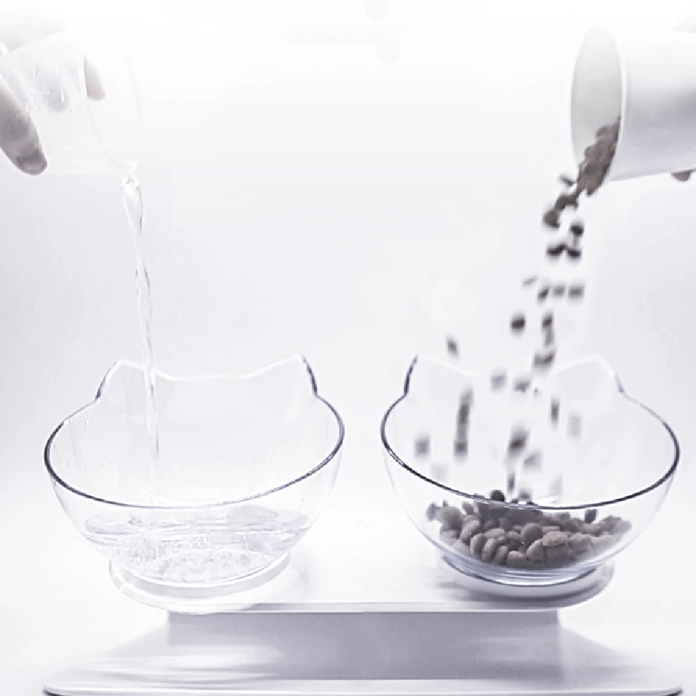 

Cat Double Bowl Cat Bowl Dog Bowl Transparent Non-slip Food Bowl with Protection Cervical Pet Supplies Plates and Bowls