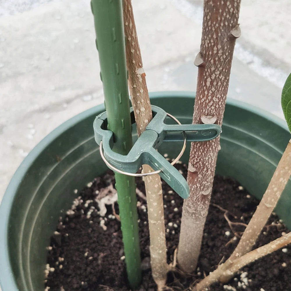 

20Pcs Fastener Greenhouse Bracket Pole Fixed Clamp Plants Flower Seedling Stem Support Plant Grafting Stakes Connector Clip