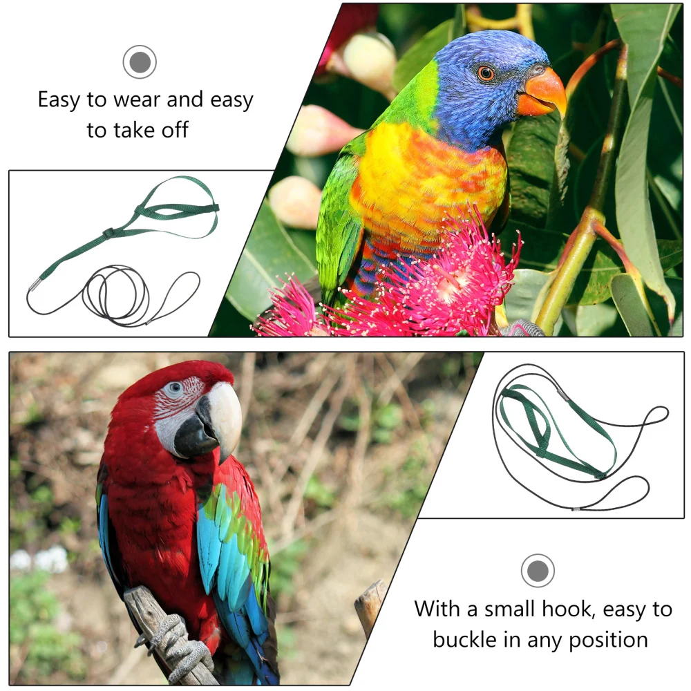 

Bird Harness Bird Leash Supplies Adjustable Training Design Bird Nylon Rope