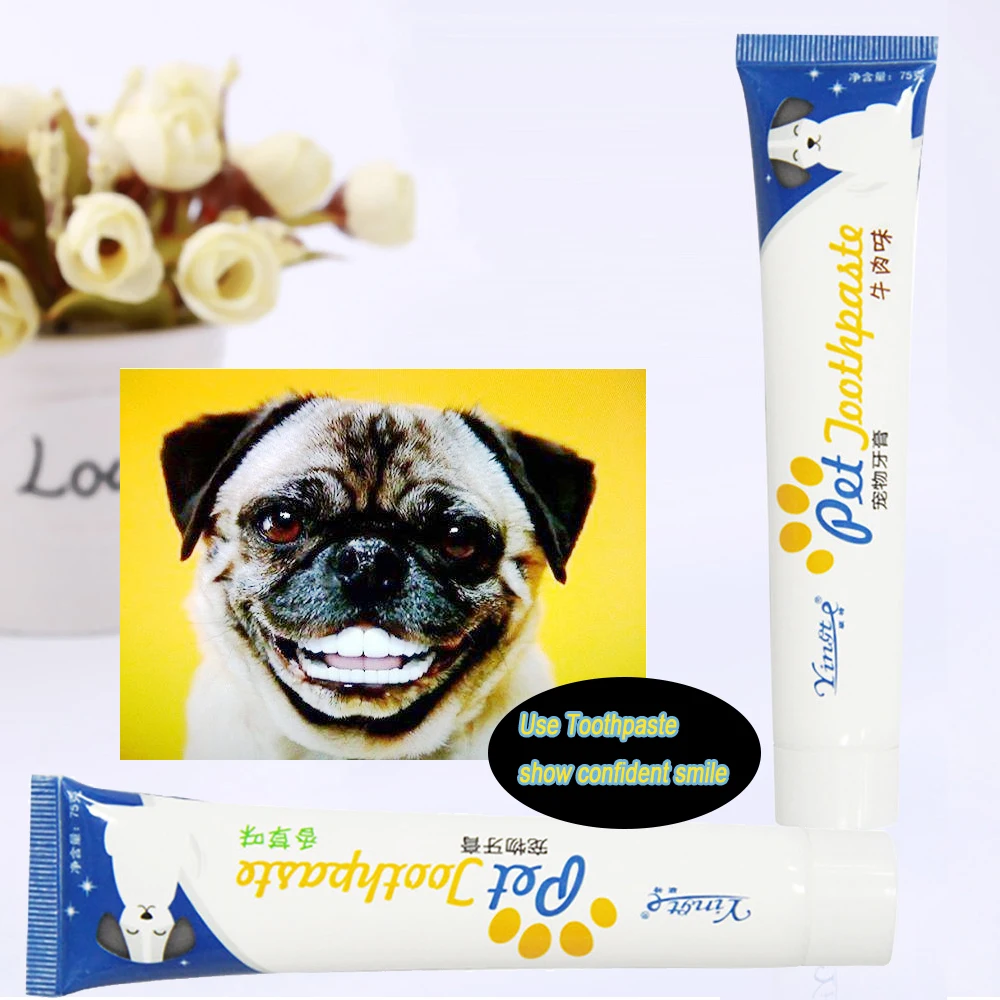 

Enzymatic Pet Dog Toothpaste Beef Vanilla Flavor Puppy Best Dental Care Gel Help Teeth Reduce Tartar and Plaque