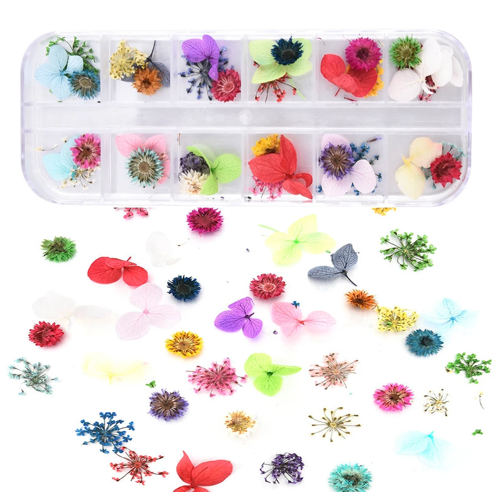 

3D Nail Art Decors 12 Colors Tips Real Dried Flowers DIY Pelekat kuku Manicure Gypsophila