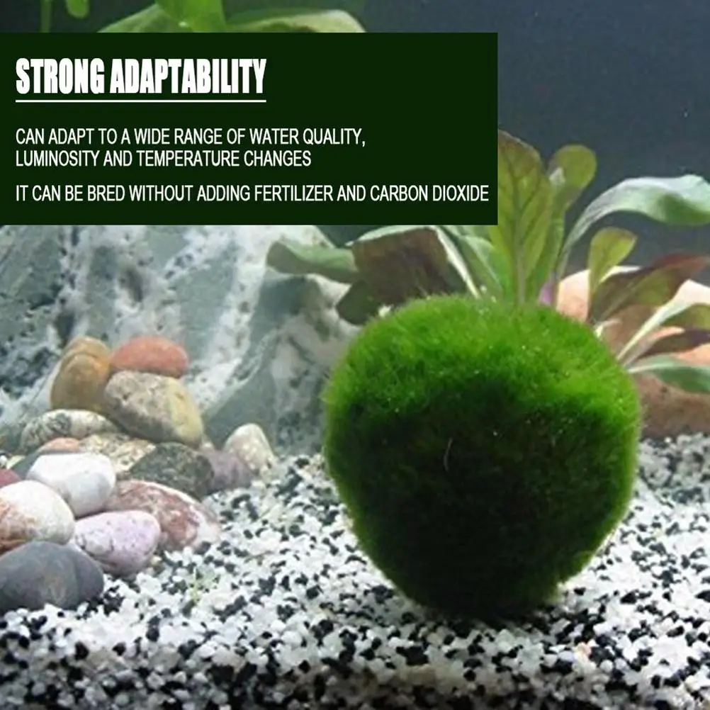 

Artificial Aquarium Plants Green Seaweed Balls Simulation Seaweed Landscape Water Weeds Ornament for Fish Tank Decoration