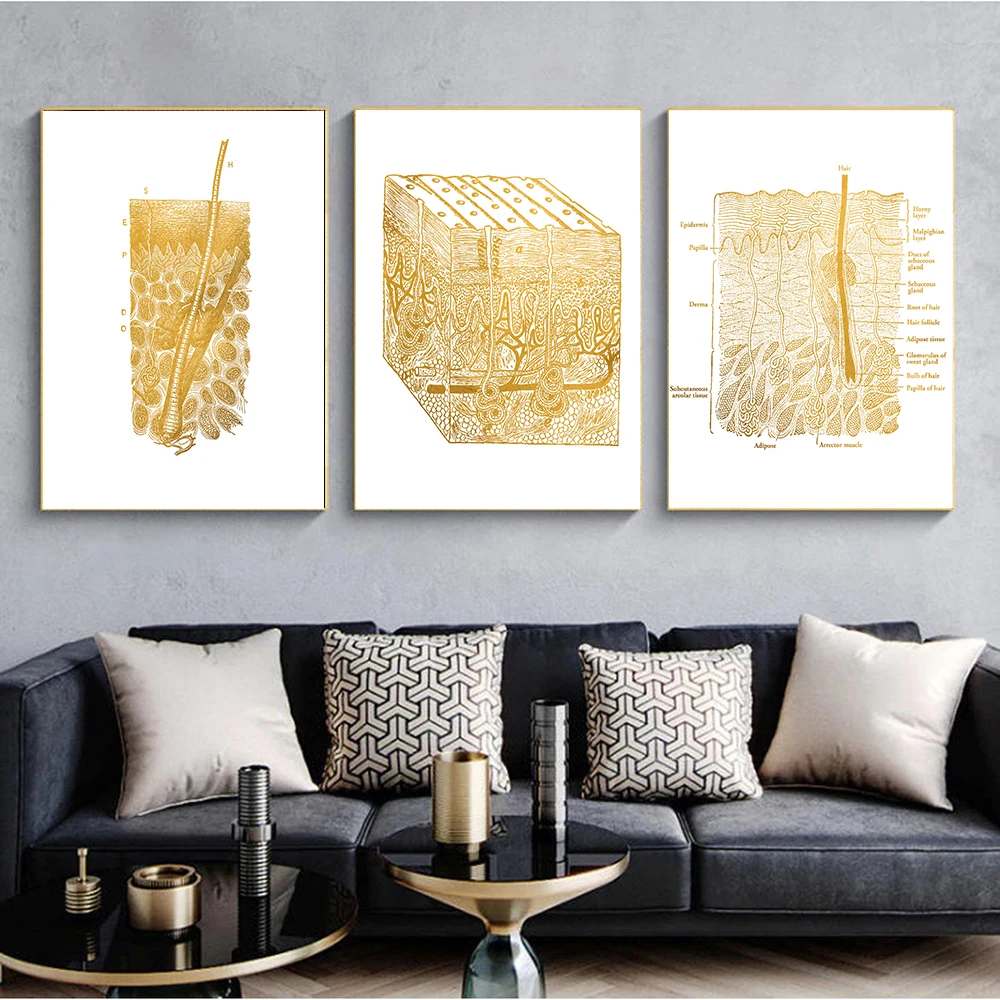 

Interior Decoration For Home Decor Canvas Painting Printings Golden Art Skin Histologist Anatomy Wall Poster Picture Unframed