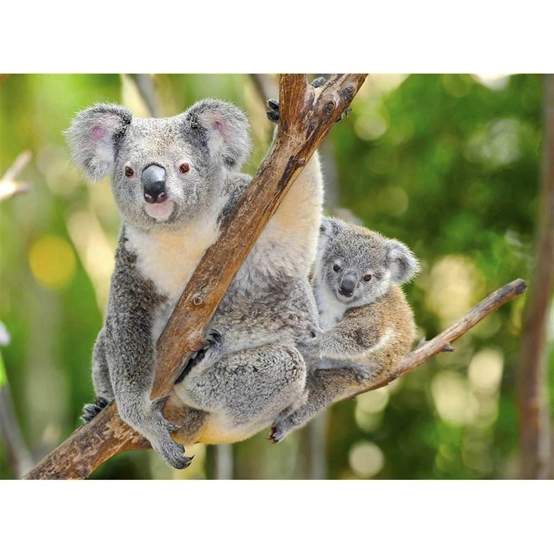 

5D DIY Diamond Painting Koala Bear Embroidery Animal Cross Stitch Rhinestone Mosaic Decoration