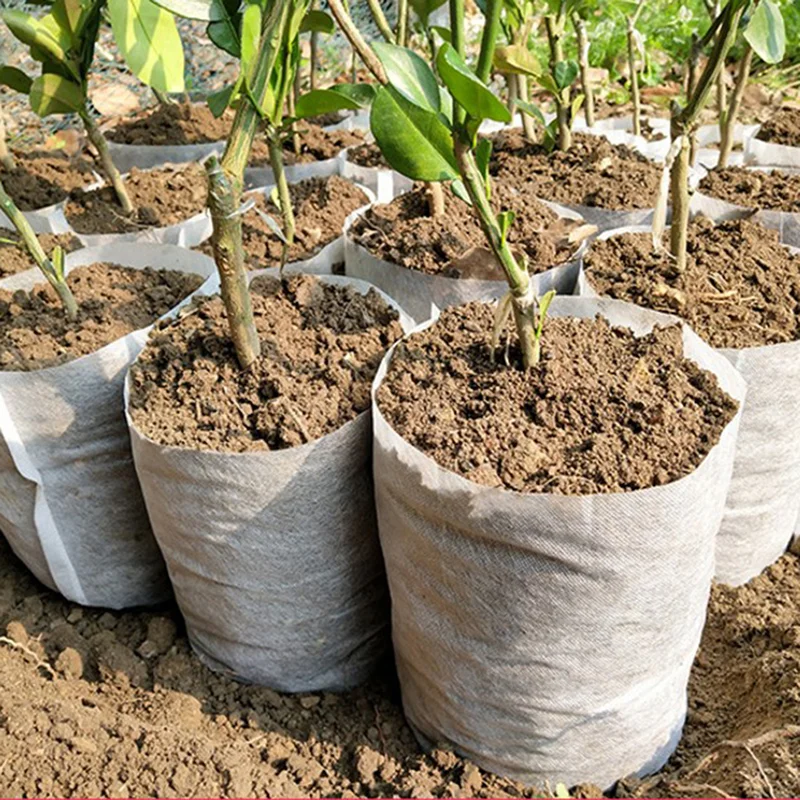 

100 шт биоразлагаемые нетканые мешки для питомника, Экологически чистая посадка