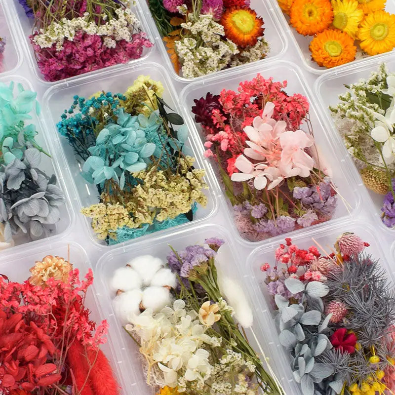 

Mixed macaron color wedding dried flower photo frame stickers group fan leaf glue diy dried flower mixed material package boxed
