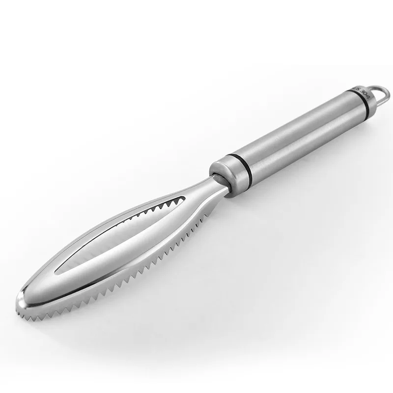 

Stainless Steel Fish Knife Scale Brush Cleaning Fish Scale Skin Remove Seafood Tools For Kitchen Fish Knives Scale Planer 245mm