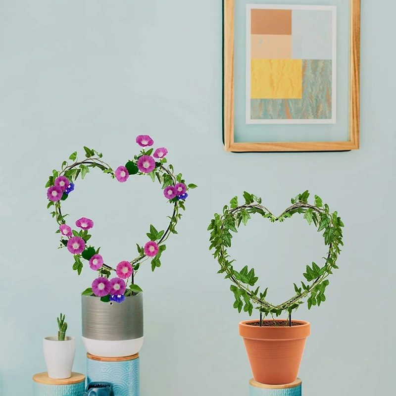 

Plant supports Black Metal Plant Trellis for Rock Climbing Plants Iron Ring Trellis Plant and Rattan Pole Support Line