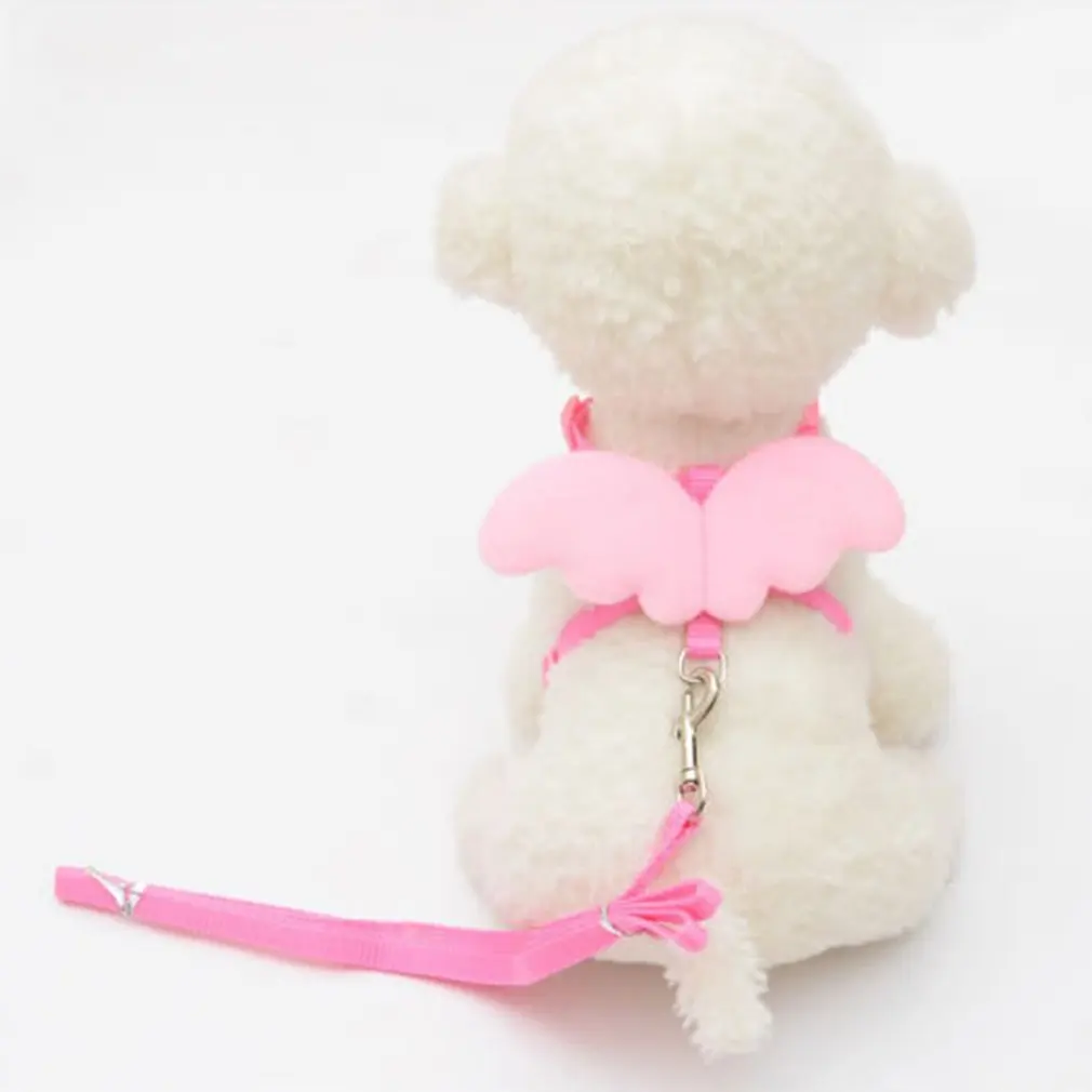 2018 новые поводки для домашних животных с ангельскими поводками и набор