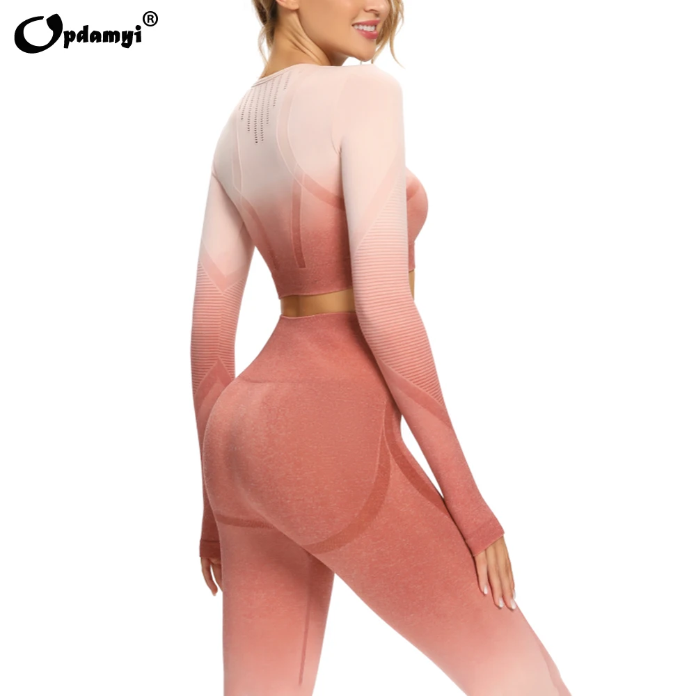 

Новый женский комплект для йоги с эффектом омбре, тренировочный спортивный бюстгальтер с длинным рукавом и градиентом, бесшовные леггинсы, ...