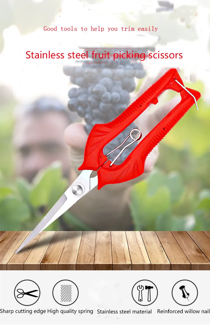 Кустарники инструменты растения садоводство горшечные обрезка листьев