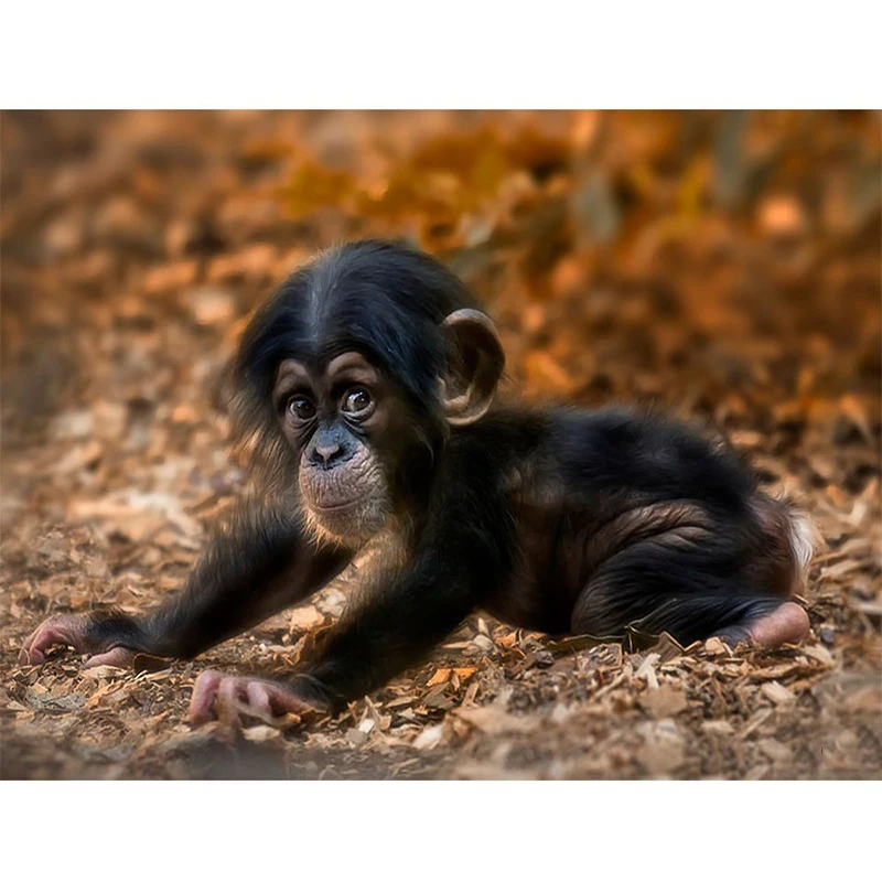 Алмазная вышивка картины стразы алмазная живопись Набор для вышивки крестиком