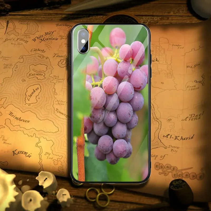Tempered Glass Mobile Phone Cases for iPhone 5 5S SE 8 7 6 6S Plus X XR XS Max Cover Shell Lovely Summer Fruits Lemon Watermelon | Мобильные