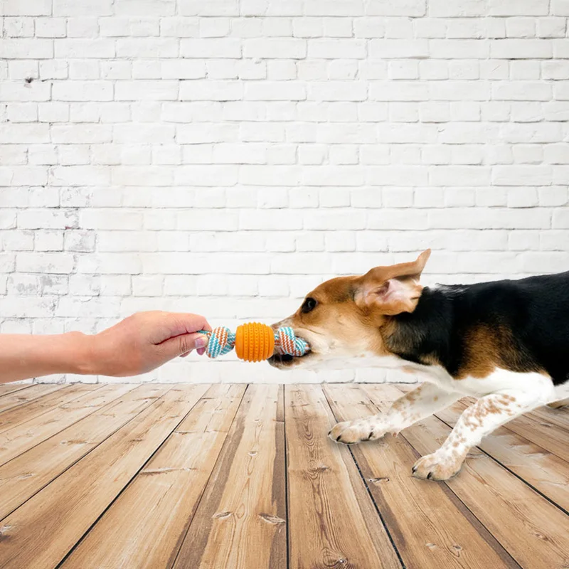 

1pc Bite Resistant Dog Rope Knot Toys for Small Large Dogs Rubber Ball Interactive Chew Toy Puppy Dental Care Pet Accessories