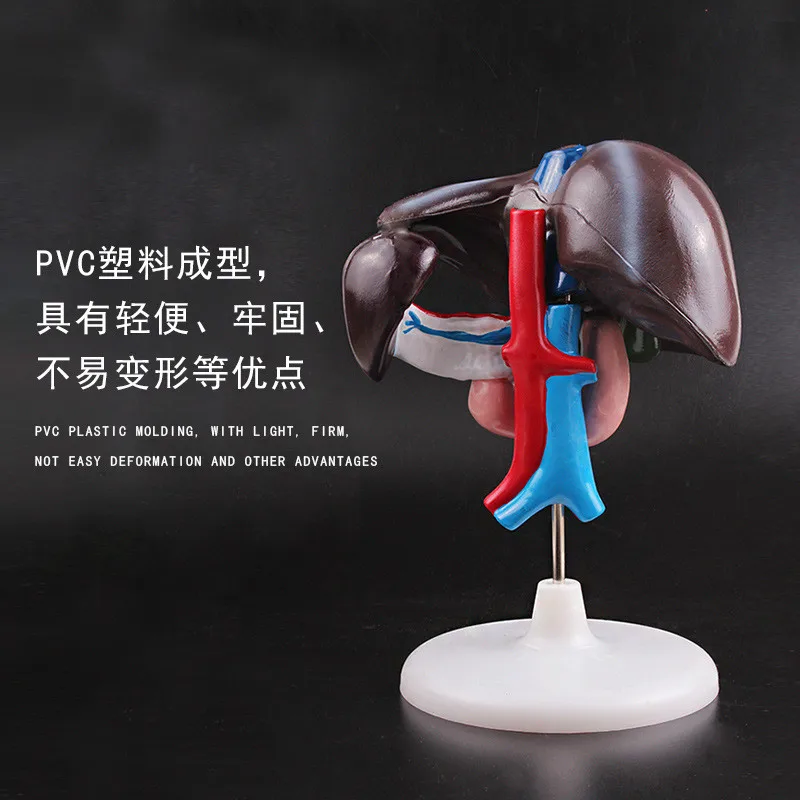 Манекен для тела человека модель манекена хирургической и медицинской практики