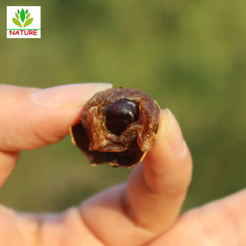 

Dried Longan Fruit in Shell