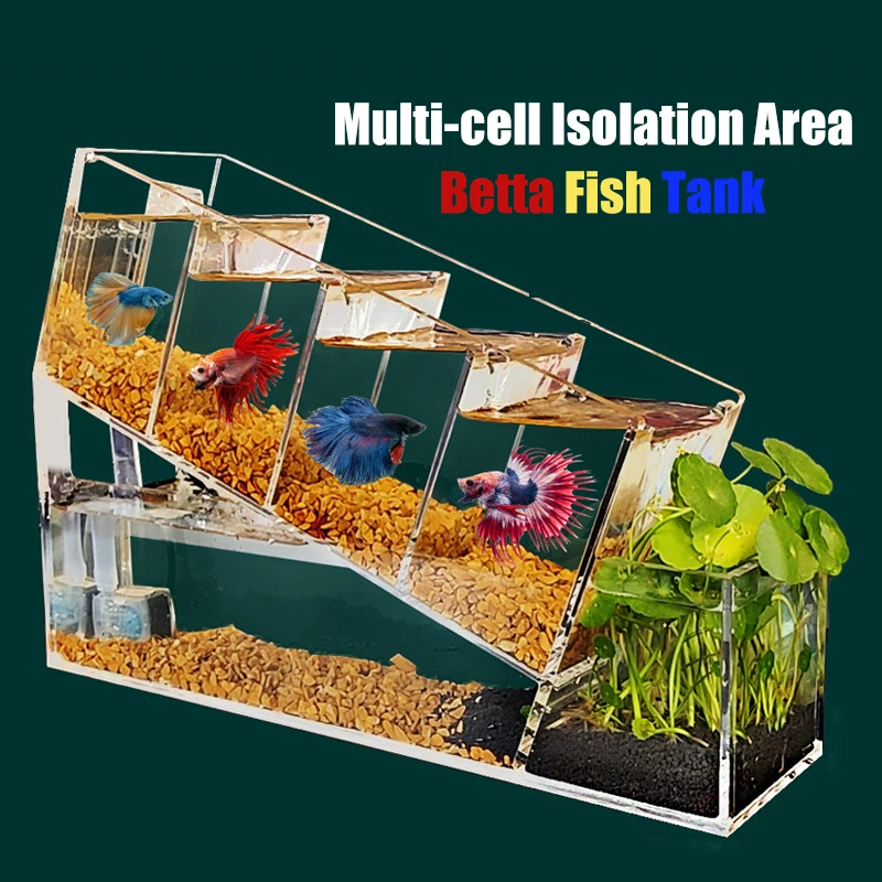 

Creative Betta Fish Tank Acrylic Multi-cell Isolation Area Self-circulating Filtration Water-free Ecological Aquarium Tank