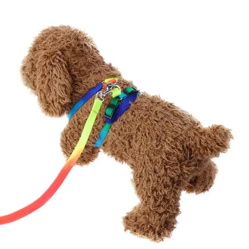 Красочный регулируемый нейлоновый ошейник для собак поводок домашних животных