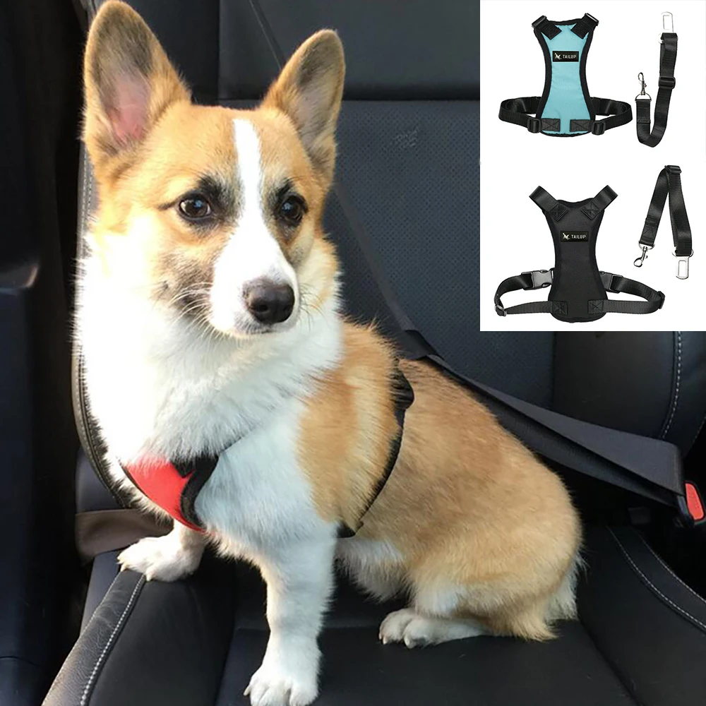 Задний ремень с воздухопроницаемой сеткой изображением собаки поводок