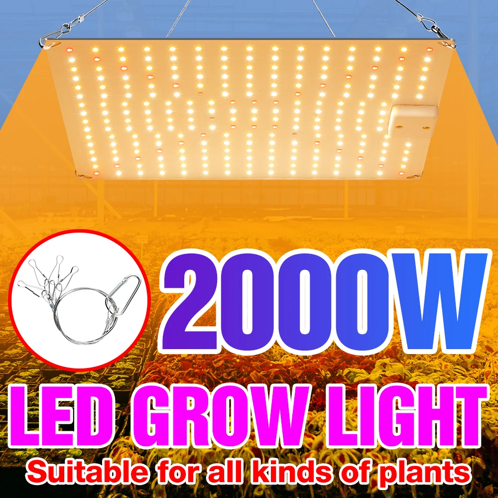 

Светодиодная лампа полного спектра для выращивания растений, 2000 Вт, 3000 Вт, светодиодсветильник лампа для теплиц, фитолампа для гидропонных ...