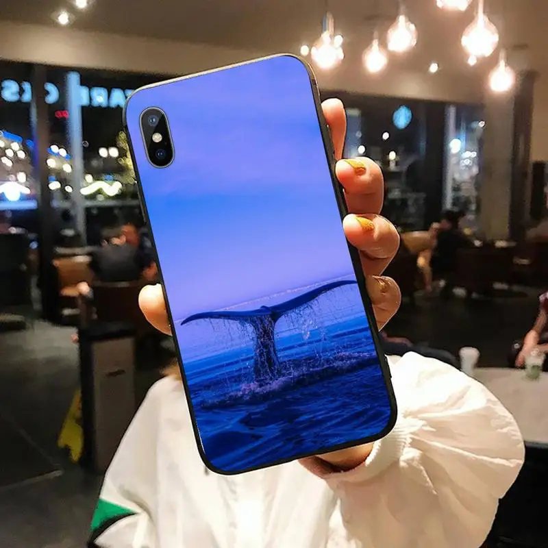 

Killer Whale Orca sea animal pattern protective coque Phone Case for iPhone 11 12 pro XS MAX 8 7 6 6S Plus X 5S SE 2020 XR
