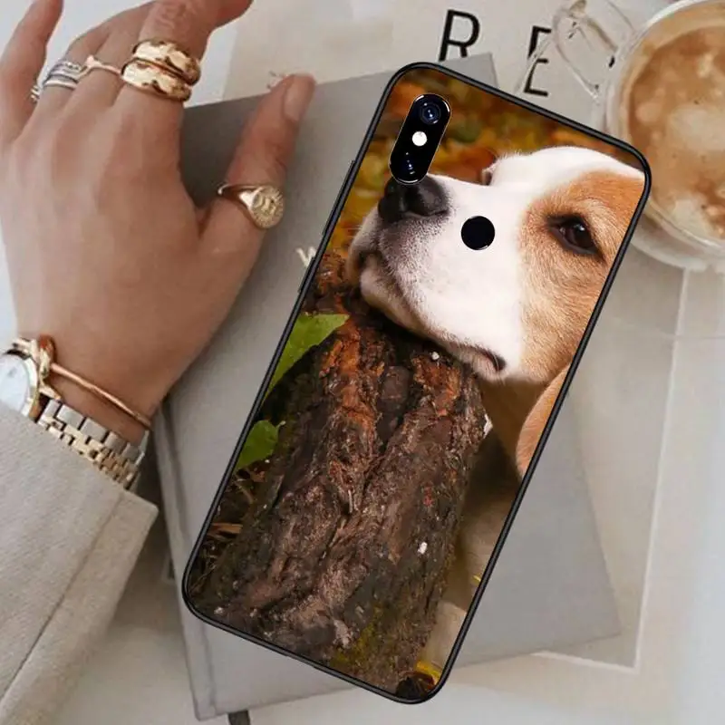 

Beagle animal cute Dog Phone Case For Xiaomi Redmi 7 8 9t a3Pro 9se k20 mi8 max3 lite 9 note 9s 10 pro