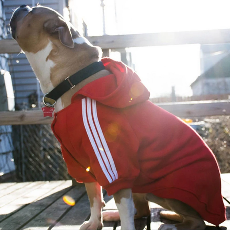 Теплая одежда для больших собак зимняя толстовка свитер пальто куртка