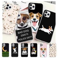jack russell terrier dog transparent mobile phone case cover for iphone 12 11 pro max xs x xr 7 8 6 6s plus 5 5s se 2020