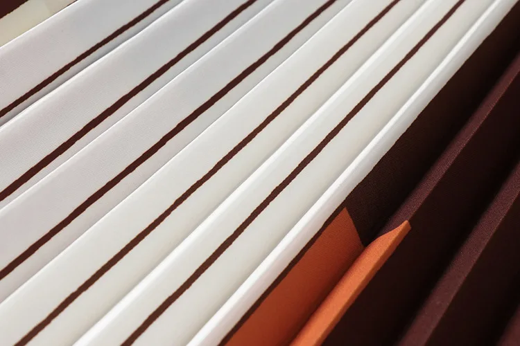 

High-end 2021 New Fashion High Waist Contrast Color Long Pleated Skirt for Woman