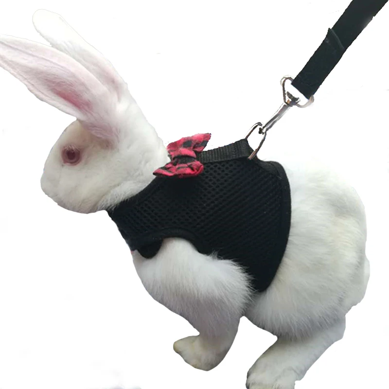 

Pet Mesh Soft Harness With Leash Small Animal Vest Lead for Hamster Rabbit Bunny Small animal pet accessories Belt lead set