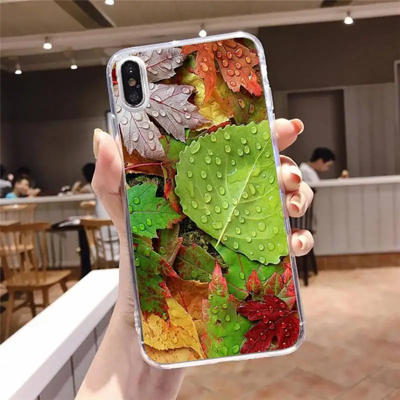 

Leaf plant pattern Phone Case Transparent soft For iphone 5 5s 5c se 6 6s 7 8 11 12 plus mini x xs xr pro max
