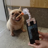 pet selfie stick for dogs cat photography tools pet interaction toys concentrate training supplies dog cat toys