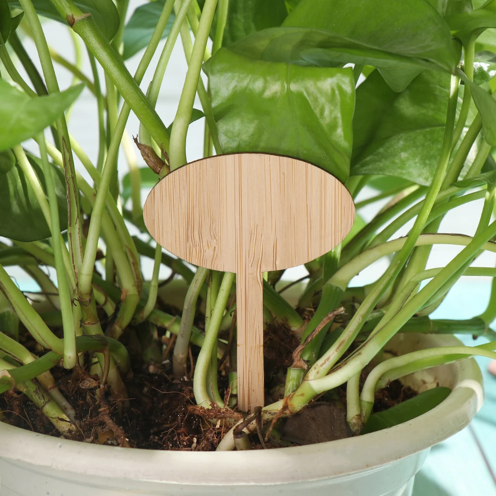 10 шт. Т образные бамбуковые этикетки для растений Экологичные деревянные бирки