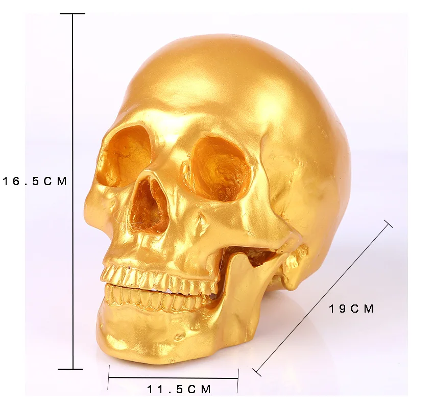 

MRZOOT Resin Skull Statue Personality Bar Decoration Ornaments Human Golden Head Model Halloween Gift Medical Skeleton