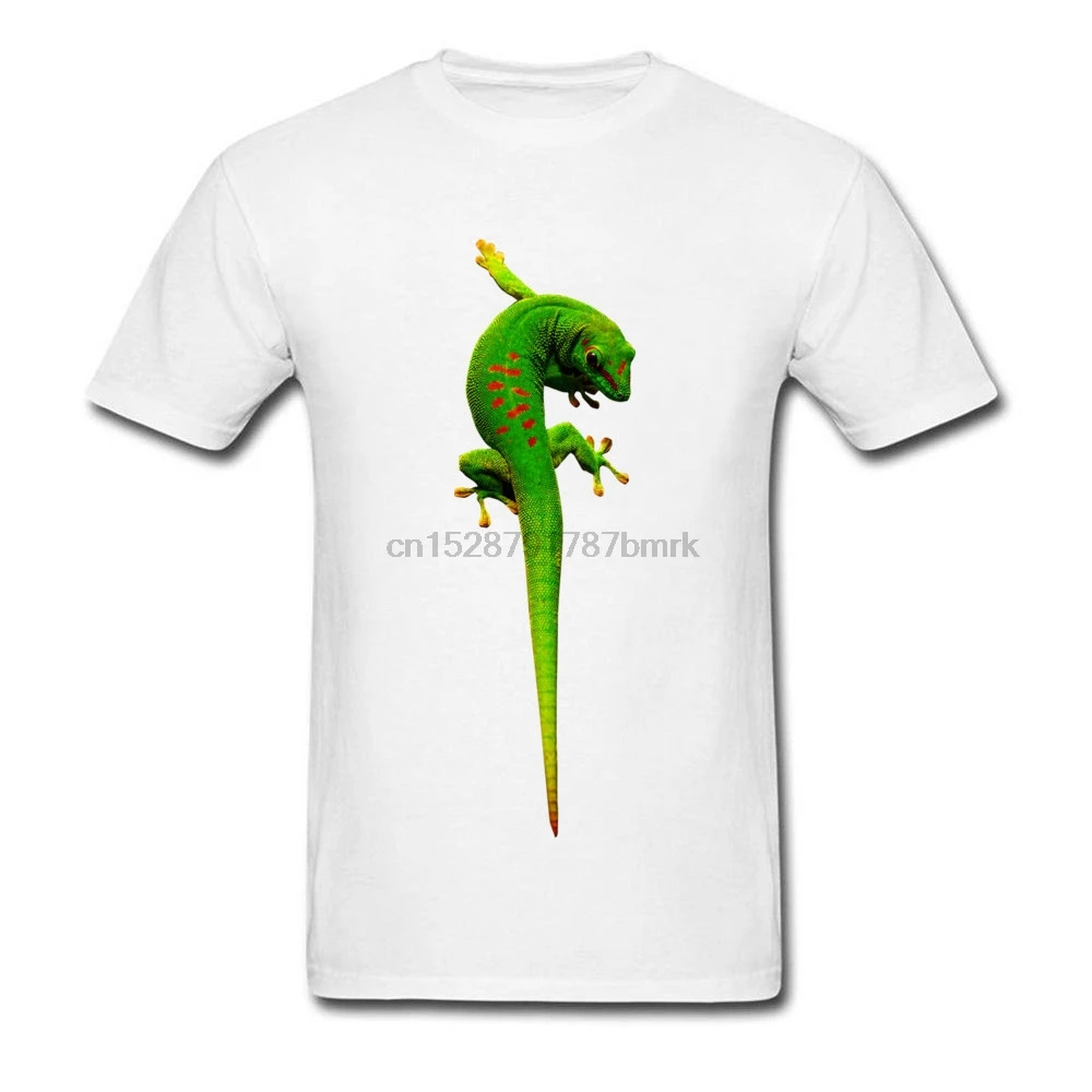 Южная Африка зеленый Gecko изображения дизайн футболки 2018 модная летняя футболка 3D