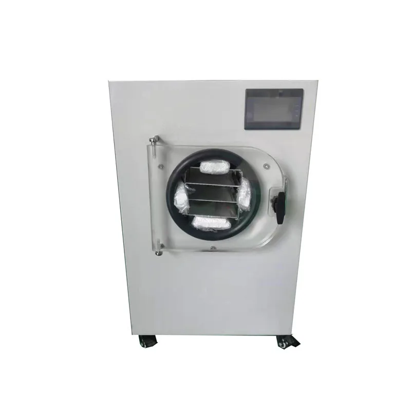 Electric Mini Vacuum Freeze Dryer Vegetable Fruit Meat Drying Machine Freeze Dehydrators for Sale
