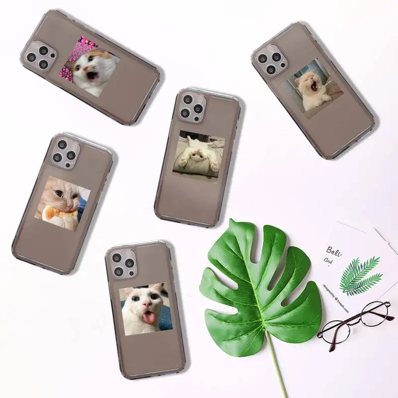 

Cute animal cat pattern Phone Case Transparent for iPhone 7 8 11 12 se 2020 mini pro X XS XR MAX Plus
