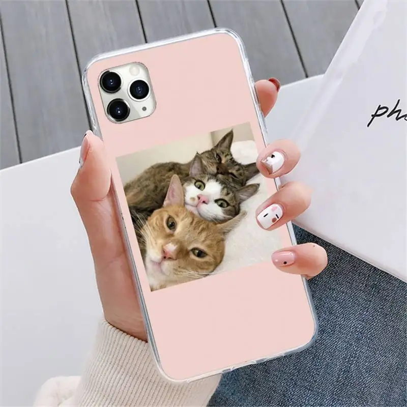 

Aesthetic Cute Animal Cat Phone Cases For iphone 12 5 5s 5c se 6 6s 7 8 plus x xs xr 11 pro max mini